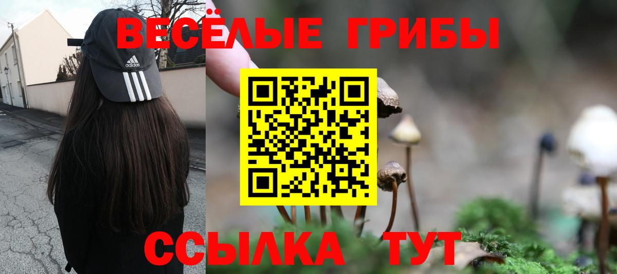 хочу наркоту  Галлюциногенные грибы Magic Shrooms  Киров  Вход с VPN  Галлюциногенные грибы Psilocybine cubensis 